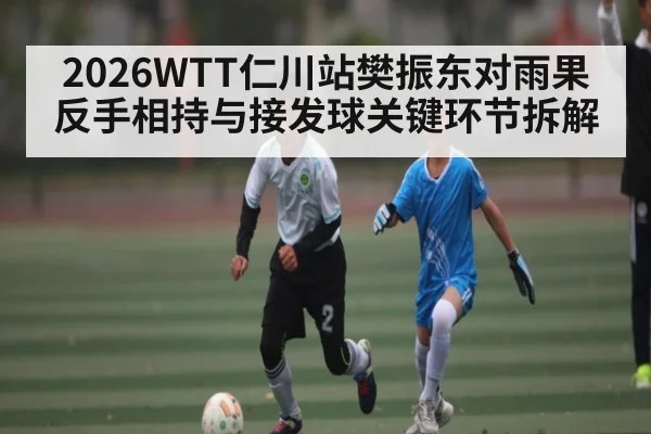 2026WTT仁川站樊振东对雨果反手相持与接发球关键环节拆解