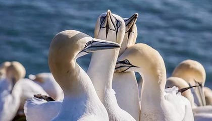 “最快女护士”张水华告别361°品牌，知情人士称因发展路径调整，系双方友好协商结果